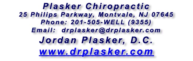 Plasker Chiropractic - 845-356-9355