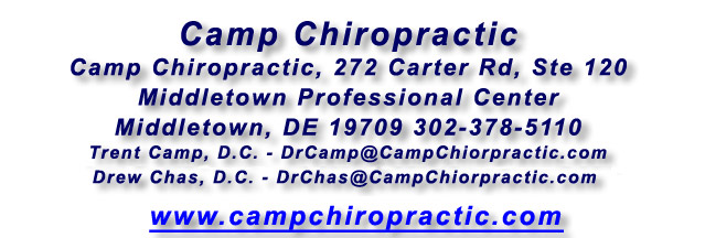 Camp Chiropractic - www.campchiropractic.com
