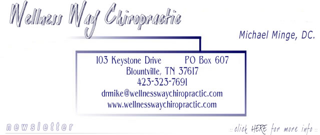 Wellness Way Chiropractic - 423-323-7691