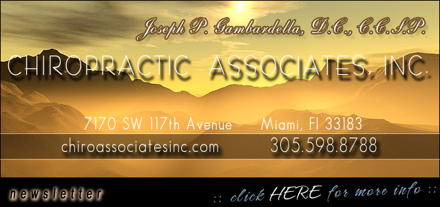 Chiropractic Associates, Inc. - 305-598-8788