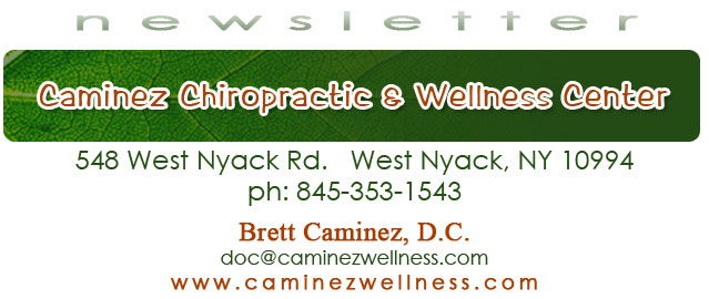 Caminez Family Chiropractic - 845-353-1543