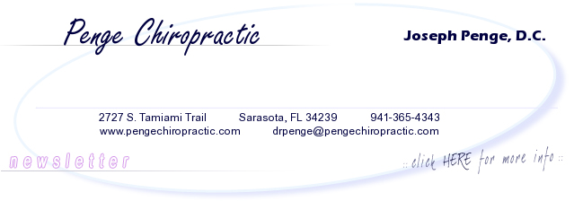 Penge Chiropractic - 941-365-4343